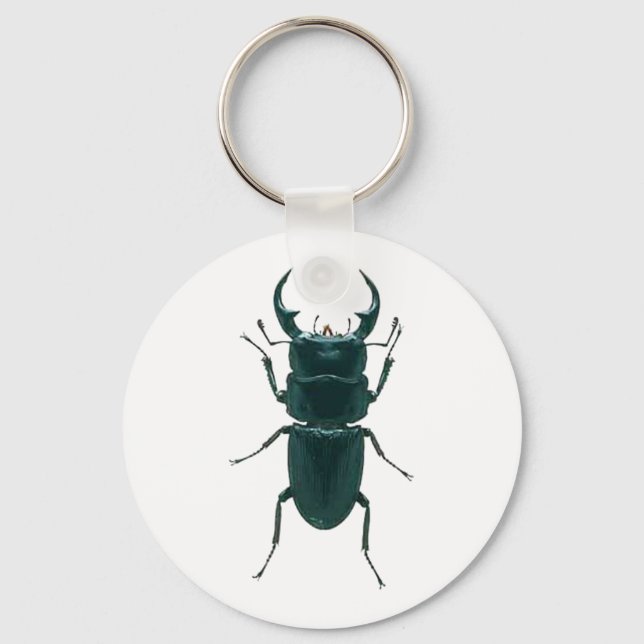Big Black Dung Beetle Key Ring (Front)