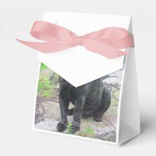 Big Black Jaguar Cat on Sitting on Rock Favour Box