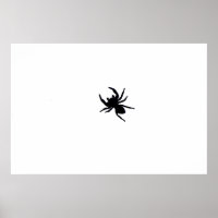 Big Black Spider Black and White Art