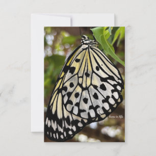 Big Black & White Butterfly Card