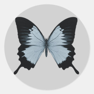 Big Blue & Black Butterfly Classic Round Sticker