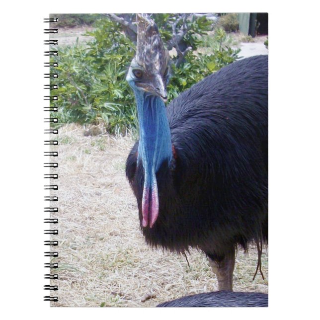 Big Blue Cassowary Bird,  Notebook (Front)