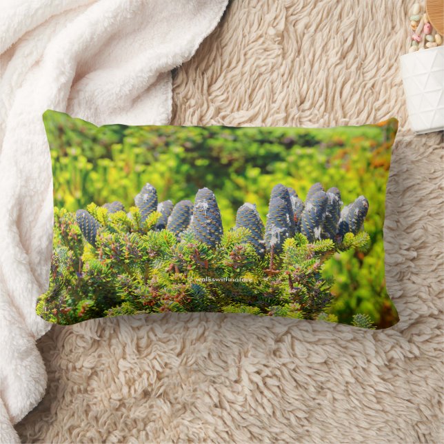 Big Blue Korean Fir and Cones Lumbar Cushion (Blanket)