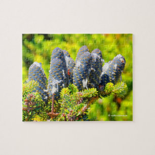 Big Blue Korean Fir Cones Jigsaw Puzzle
