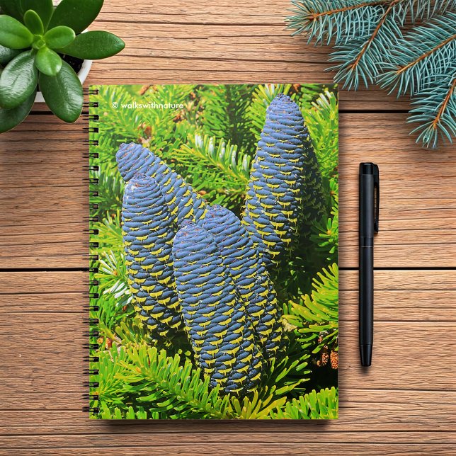 Big Blue Korean Fir Cones Notebook (Big Blue Korean Fir Pinecones Journal Cover Photo)