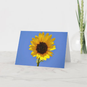Big Blue Sky and Wild Sunflower Note Card