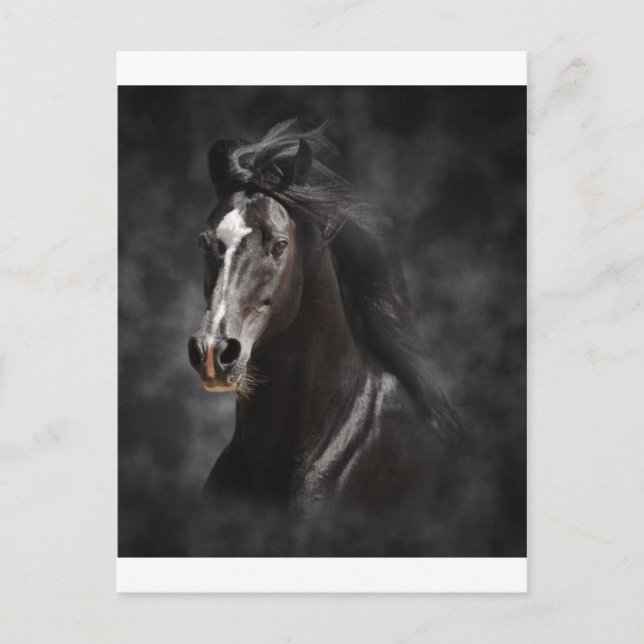 Big, Bold, and Proud Postcard (Front)