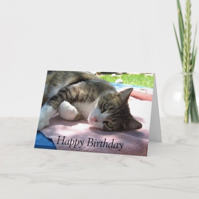 Big Boy Cat on Table Birthday Card (Front)