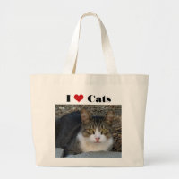 Big Boy's I Love Cats Jumbo Tote