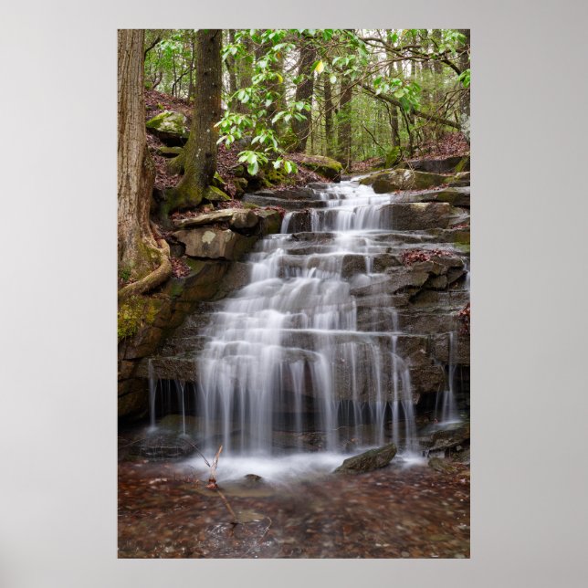 Big Branch Falls Poster (Front)