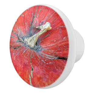 Big Bright Pumpkin Ceramic Knob