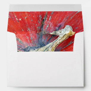 Big Bright Pumpkin Envelope