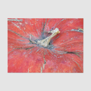 Big Bright Pumpkin Tissue Paper