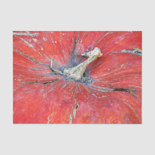 Big Bright Pumpkin Tissue Paper (Front)