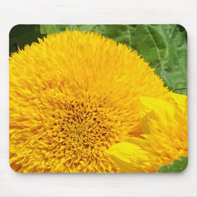 Big Bright Yellow Summer Sunflowers mousepads (Front)