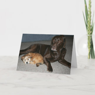 Big Brother Birthday Card