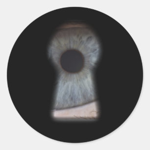 Big brother is watching you classic round sticker