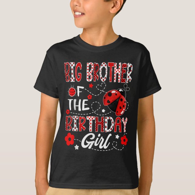 Big Brother Of The Birthday Girl Ladybug Big Broth T-Shirt (Front)