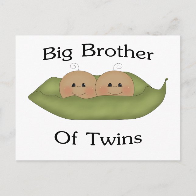 Big Brother Of Twins Postcard (Front)
