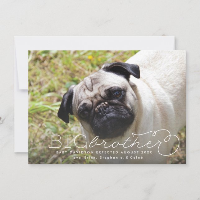 Big Brother Photo Pet Pregnancy Announcement (Front)