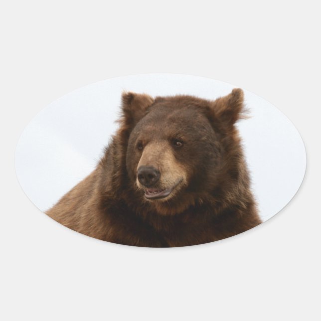 Big Brown Bear on a Log Oval Sticker (Front)