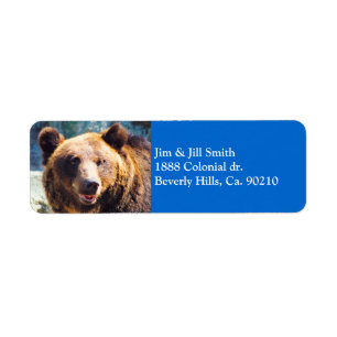 Big Brown Bear Return Address Label