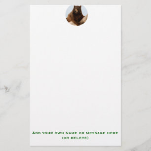 Big Brown Bear Stationery