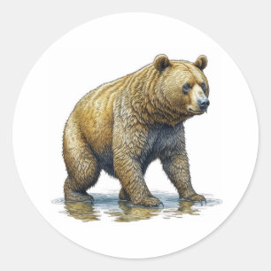 Big Brown Bear Walking Through Water Classic Round Sticker