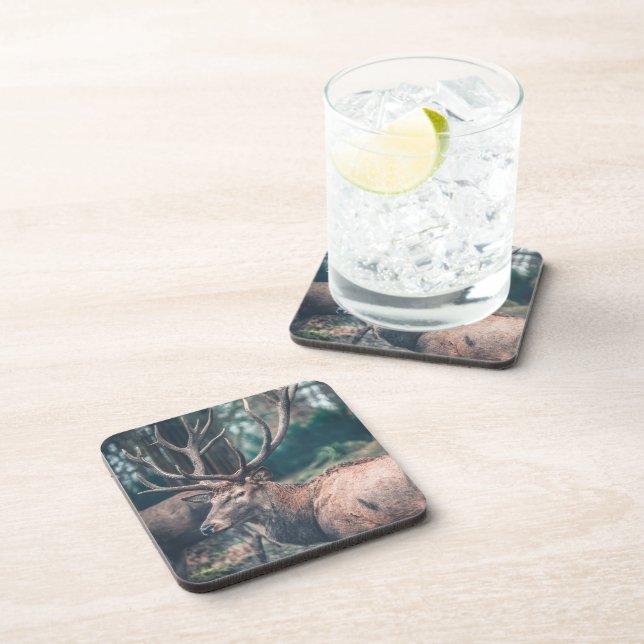 Big Brown Buck Deer with Large Antlers Coaster (Right Side)