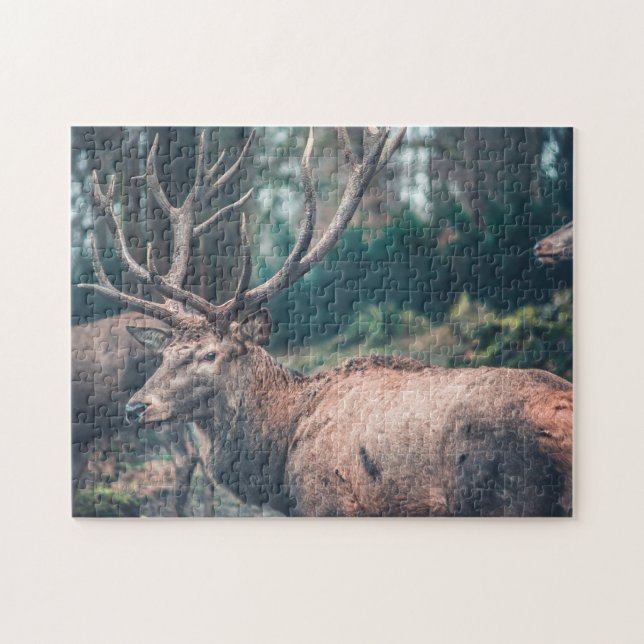Big Brown Buck Deer with Large Antlers Jigsaw Puzzle (Horizontal)
