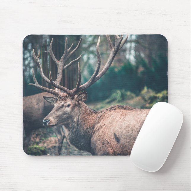 Big Brown Buck Deer with Large Antlers Mouse Pad (With Mouse)
