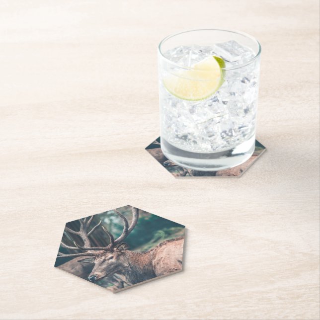 Big Brown Buck Deer with Large Antlers Paper Coaster (Insitu)