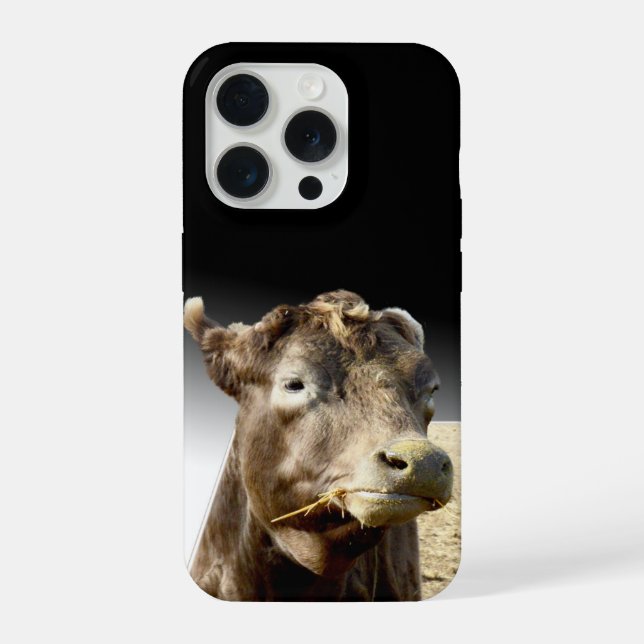 Big Brown Cow Munching On Hay, iPhone Case (Back)