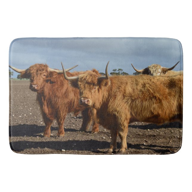 Big Brown Highland Cow, Memory Foam Bathmat (Front)