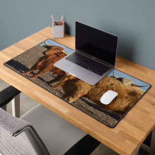 Big Brown Highland Cows, Desk Mat