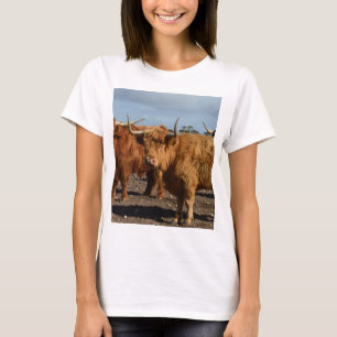 Big Brown Highland Cows, T-Shirt