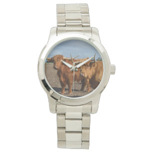 Big Brown Highland Cows, Watch