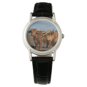 Big Brown Highland Cows, Watch