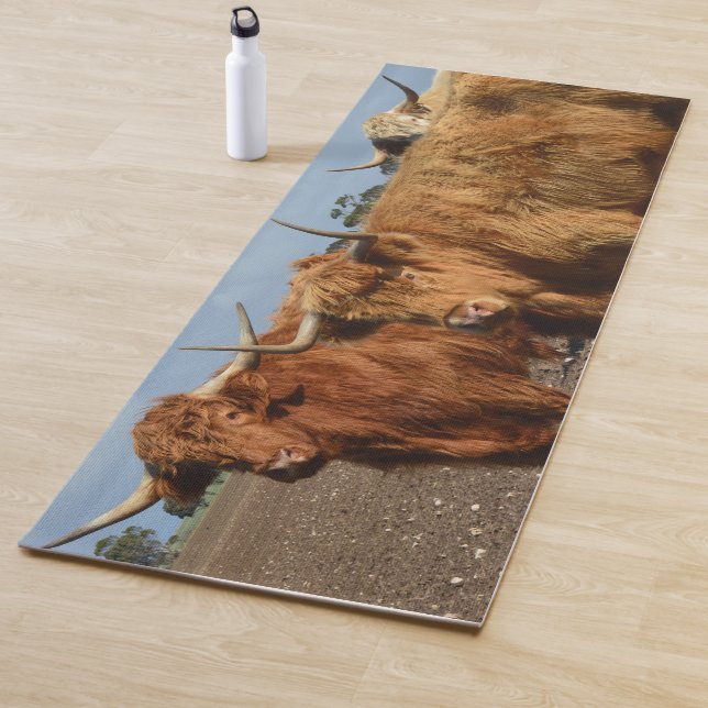 Big Brown Highland Cows, Yoga Mat, Mat (In Situ)