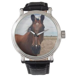 Big Brown Horse, Mens Leather Watch. Watch