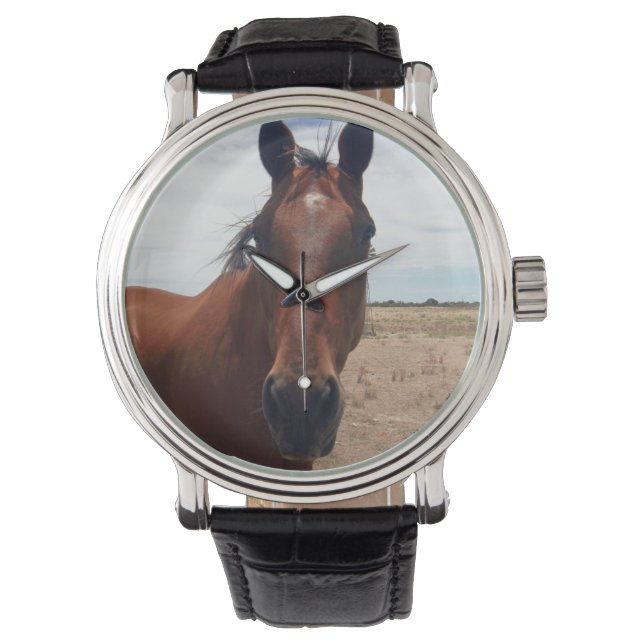 Big Brown Horse, Mens Leather Watch. Watch (Front)