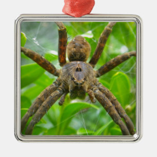Big Brown Spider Metal Ornament