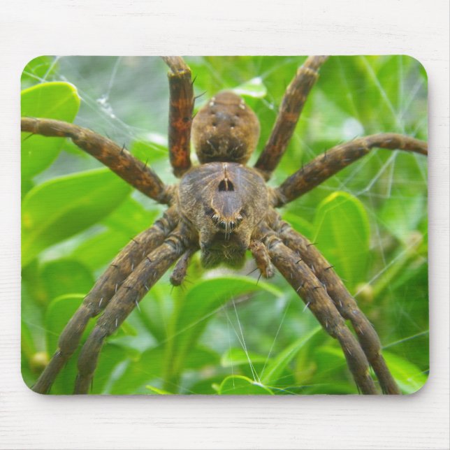 Big Brown Spider Mouse Pad (Front)
