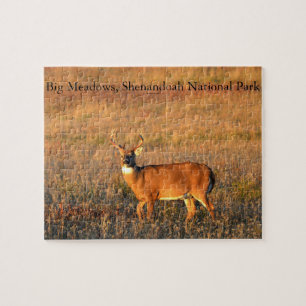 Big Buck, Big Meadows, Shenandoah National Park Jigsaw Puzzle