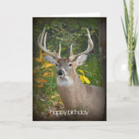 Big Buck Birthday