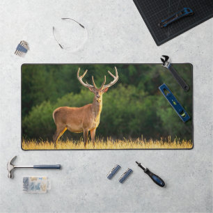 Big Buck Deer Desk Mat