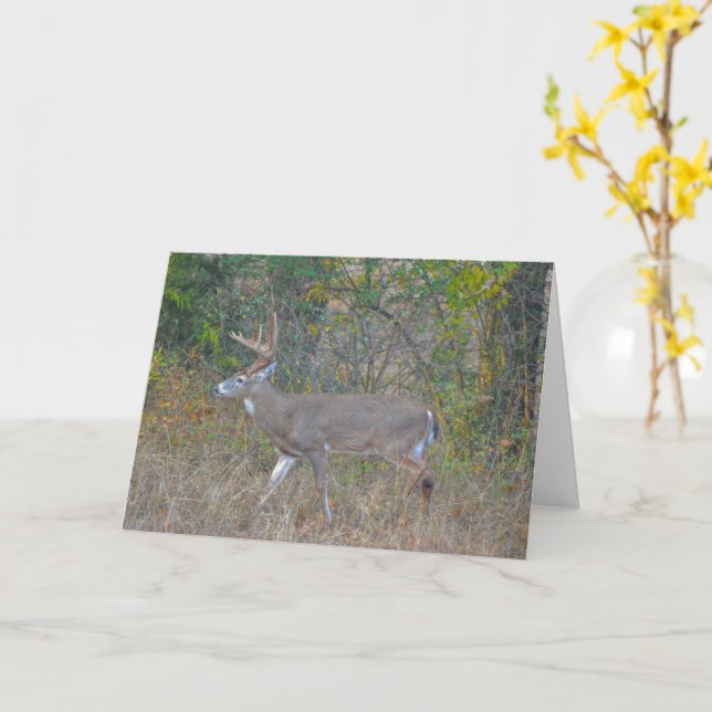 Big Buck Deer in Texas Art Note Card (Yellow Flower)