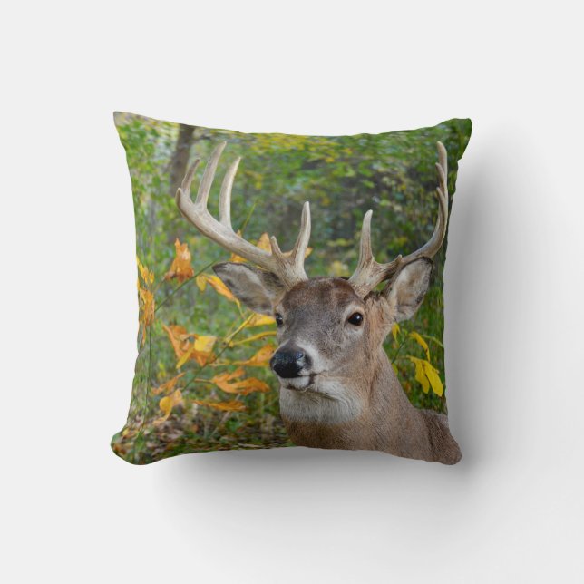 Big Buck Deer in Woods Cushion (Front)