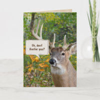 Big buck deer in woods for getting older birthday