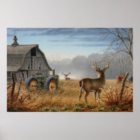Big Buck Deer Showdown On The Farm
